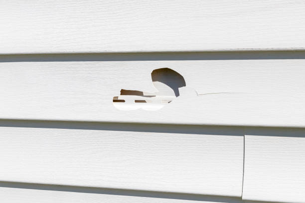 Best Residential Vinyl Siding Installation  in Eielson Af, AK