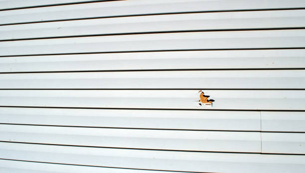 Best Fiber Cement Siding Installation  in Eielson Af, AK